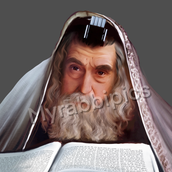 The Ribnitzer Rebbe – myrabbipics